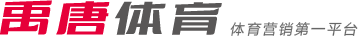 战术执行