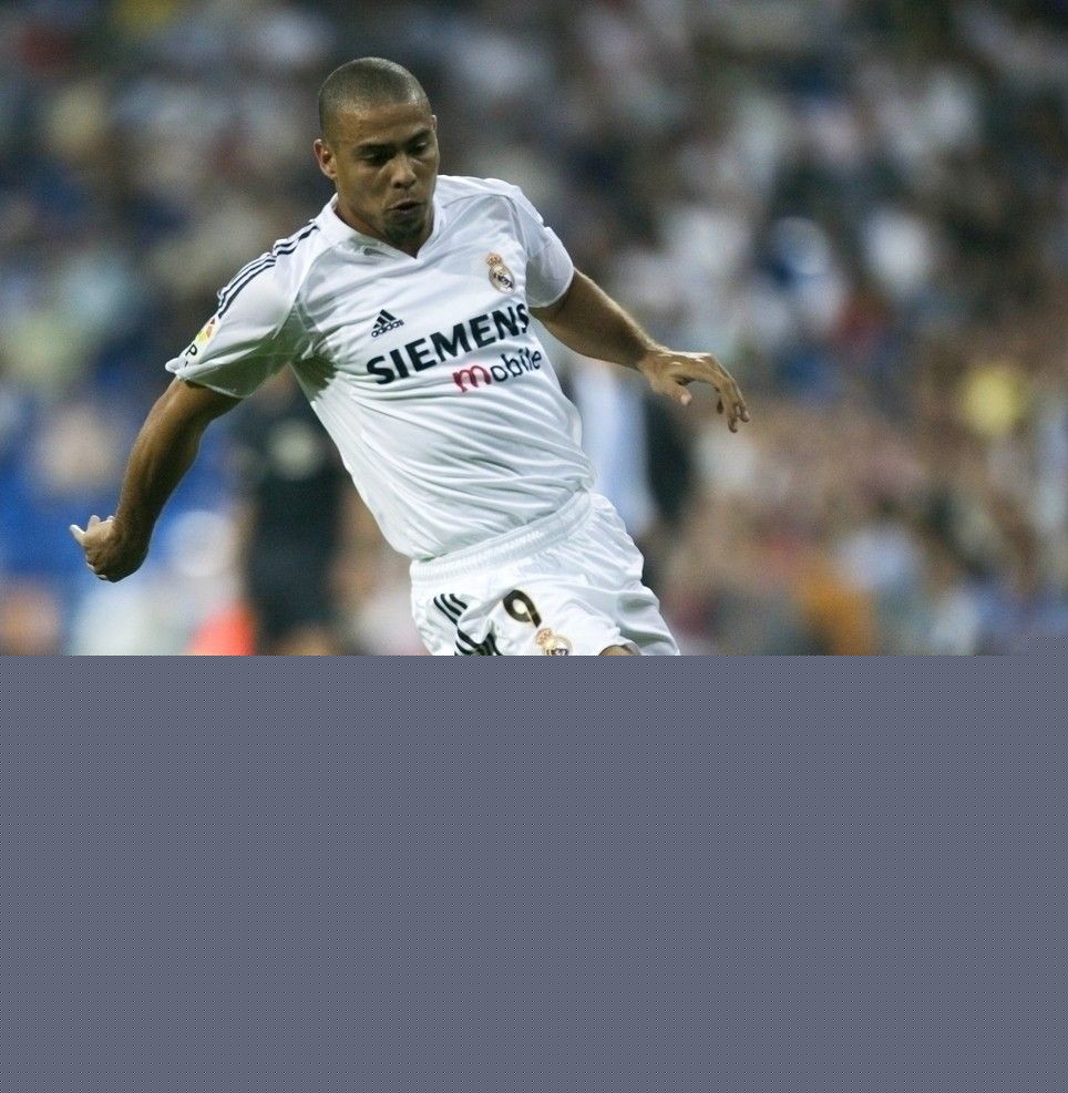 球迷们奉献 球迷们奉献