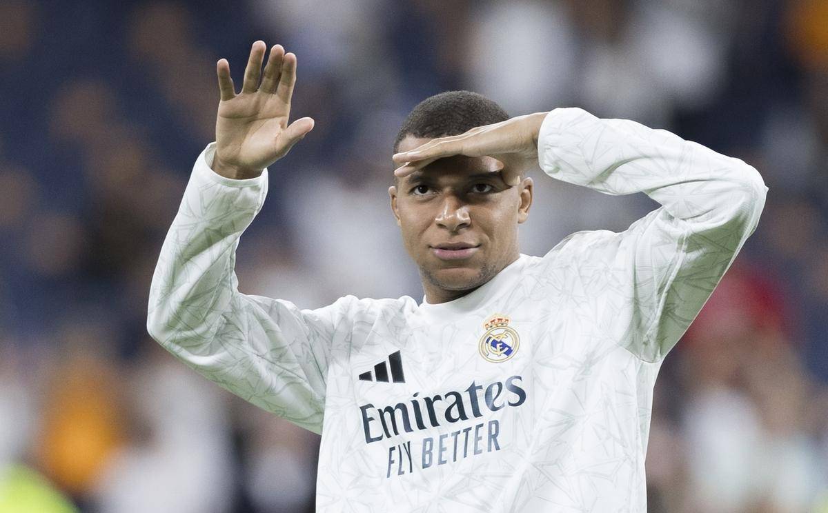 引进国际级 引进国际级