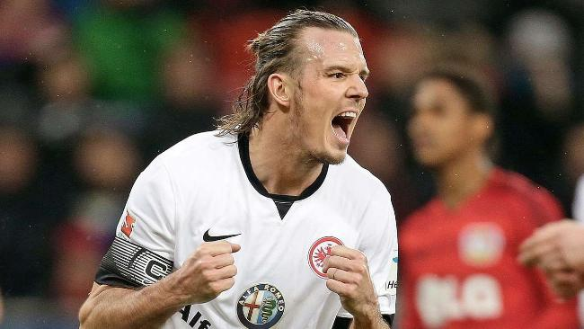 他们自建的 他们自建的