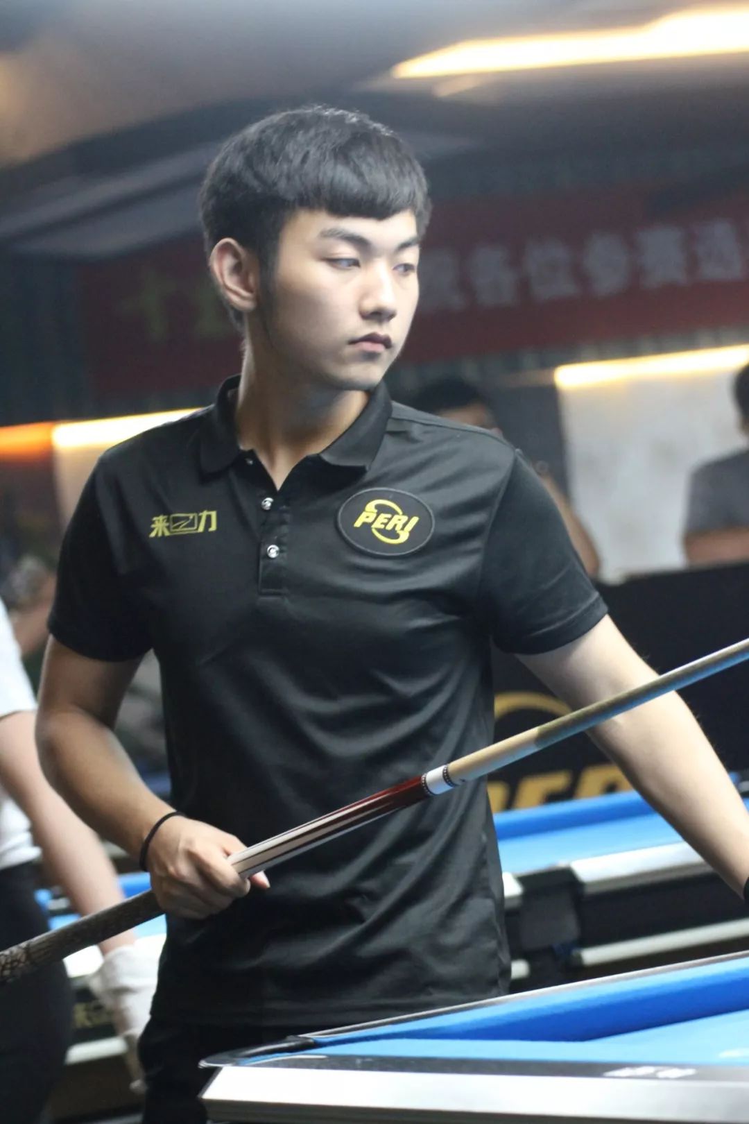 专家观点 专家观点