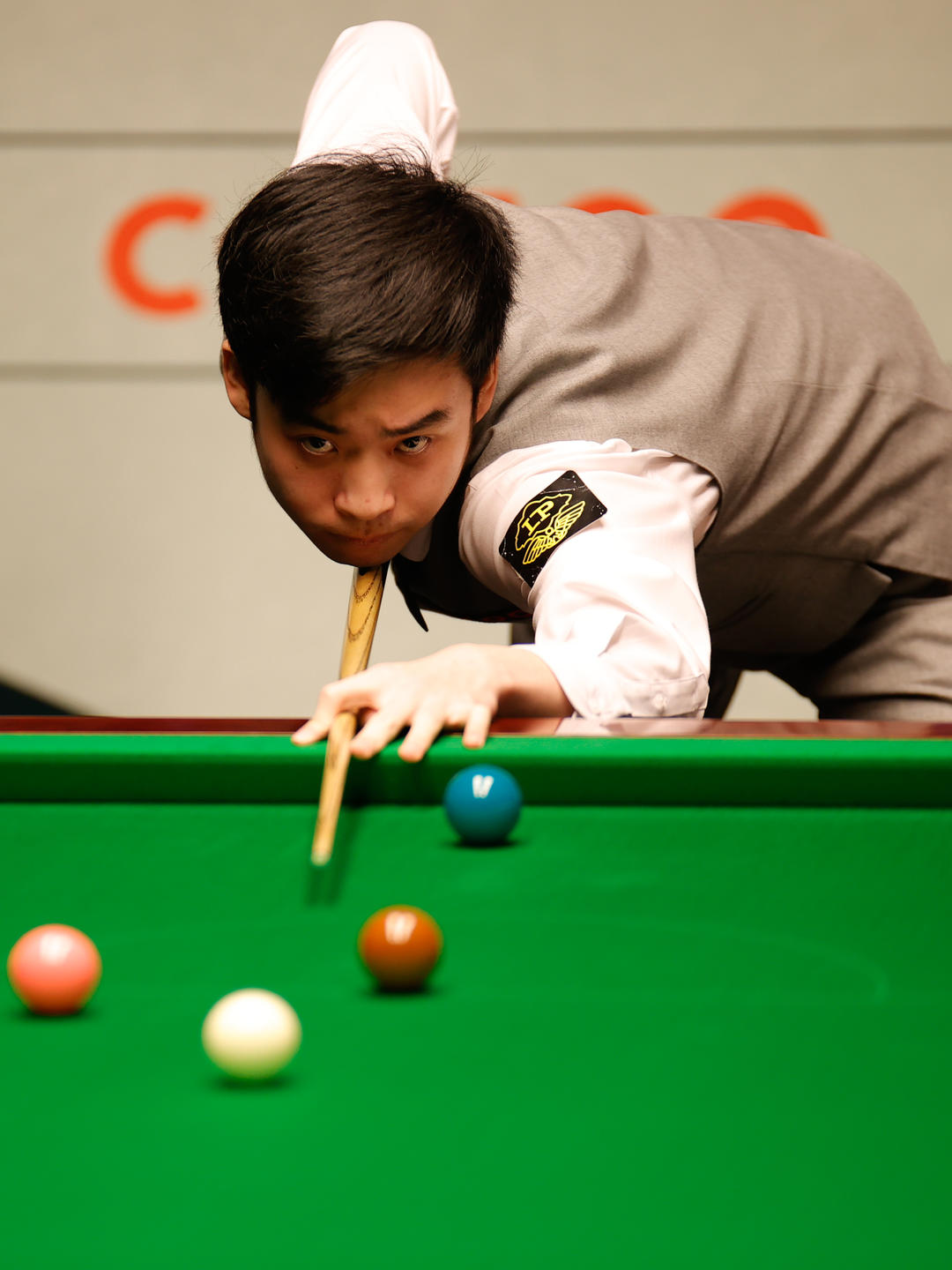 运动生涯的 运动生涯的