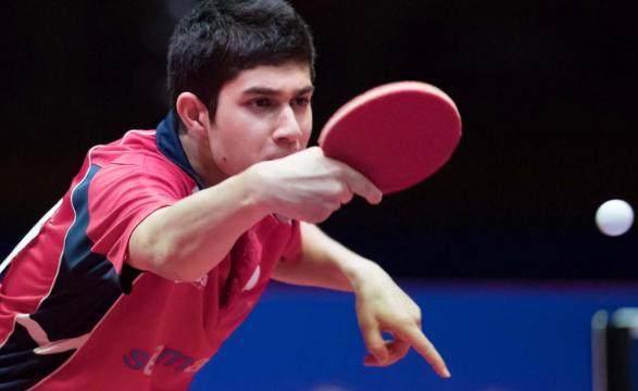 却在部分动 却在部分动